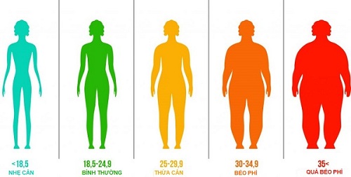  Cách xác định vị trí tích mỡ thừa của cơ thể  